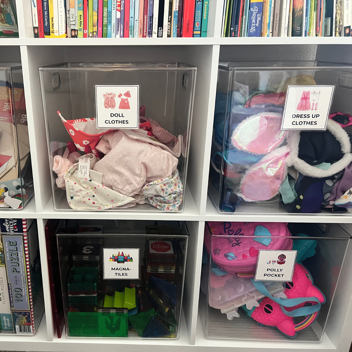 Playroom cubie shelf with acrylic bins and picture labels